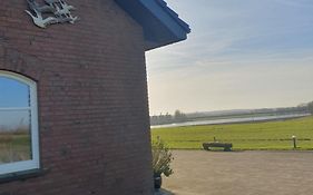 Deichkrone-Rees